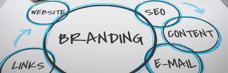 What Actually Builds Better Brands: Visual Aesthetics vs. Raw Video Content?